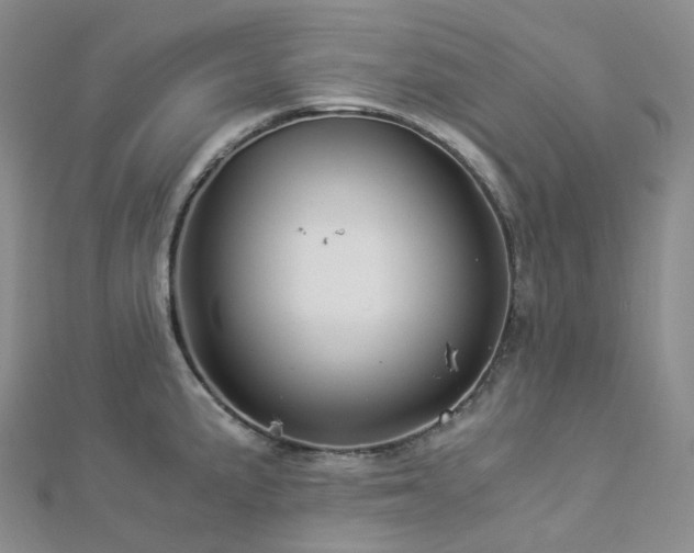 X0000112901191200908211509