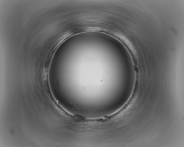 X0000112901193200908211509