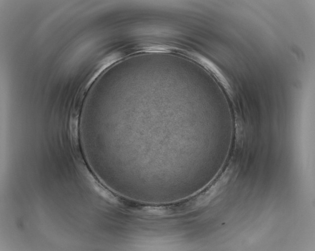 X0000112901194200908211509