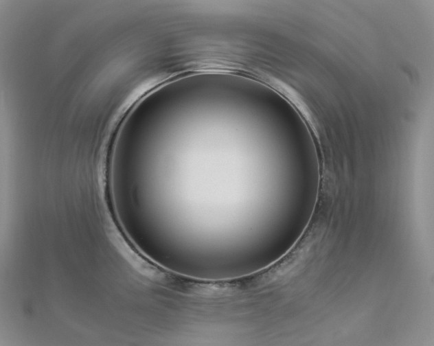 X0000112901195200908211509