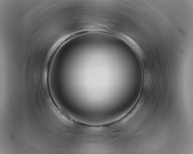 X0000112901196200908211509