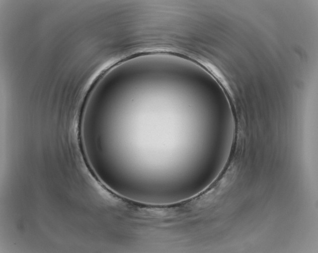 X0000112901197200908211509