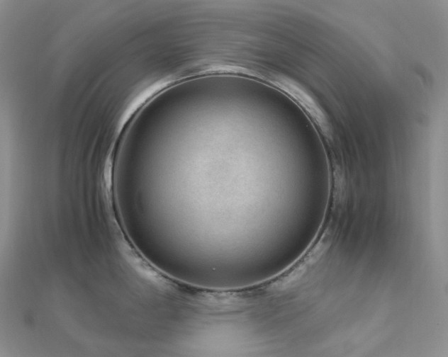 X0000112901198200908211509