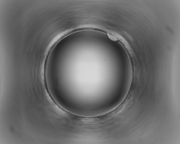 X0000112901199200908211509