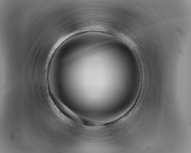 X0000112901200200908211509