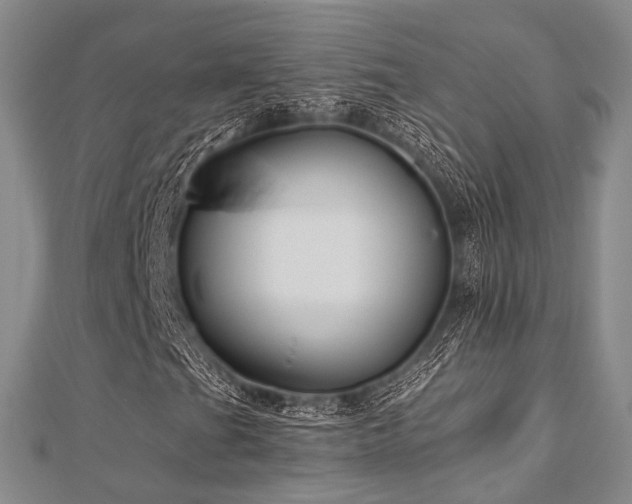 X0000112901201200908211508