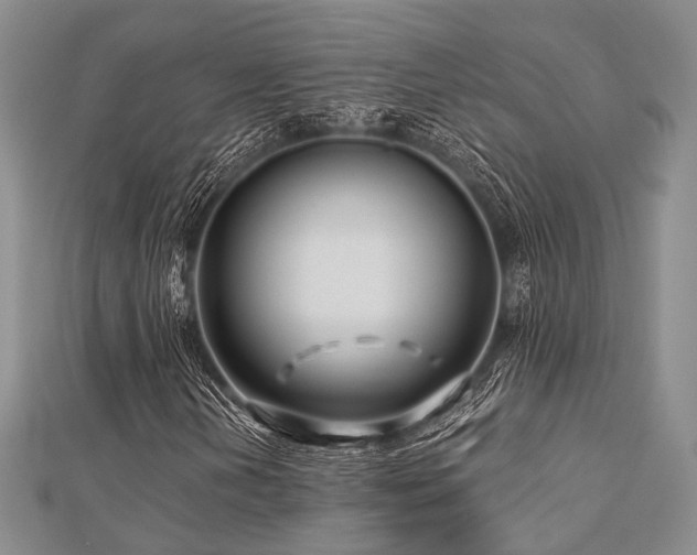 X0000112901202200908211508