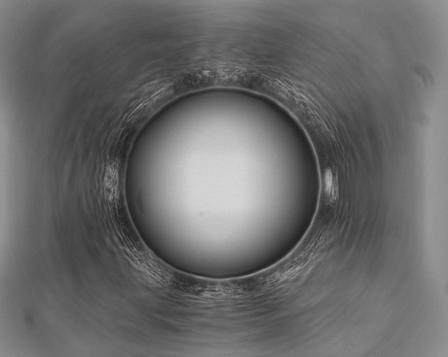 X0000112901203200908211508