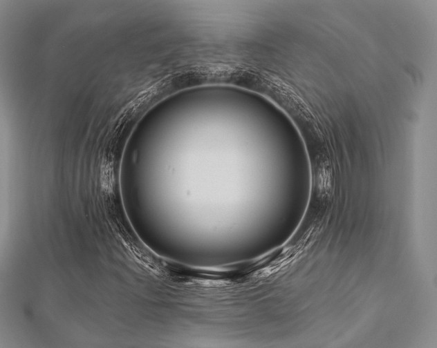 X0000112901204200908211508