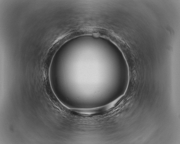 X0000112901206200908211508