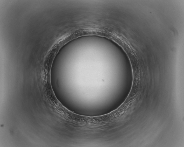X0000112901207200908211508