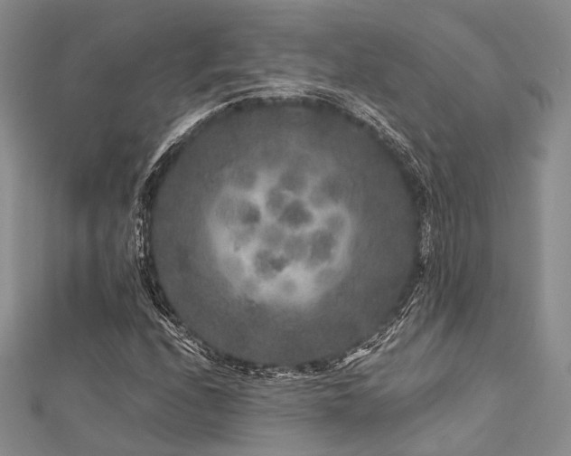 X0000112901208200908211508