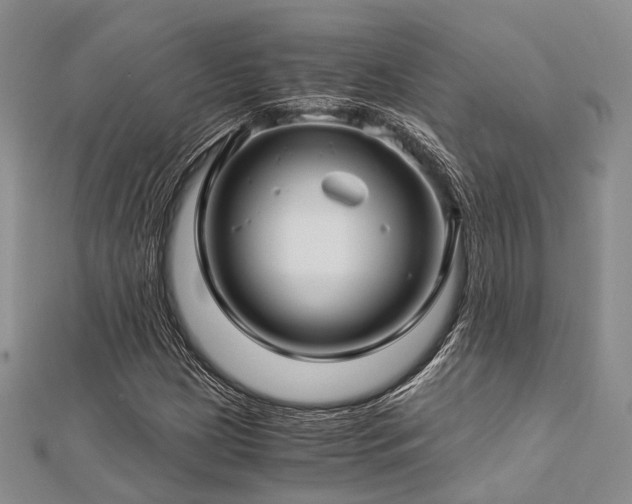 X0000112901209200908211509
