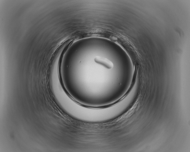 X0000112901210200908211509