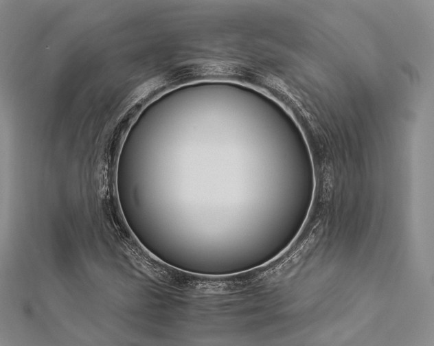 X0000112901211200908211509