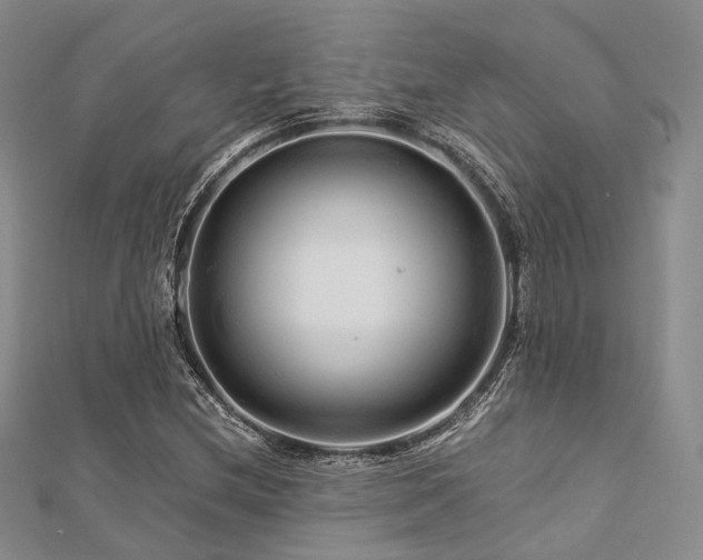 X0000112901212200908211509