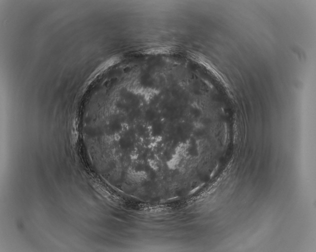 X0000112901213200908211509