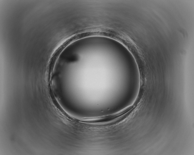 X0000112901216200908211509