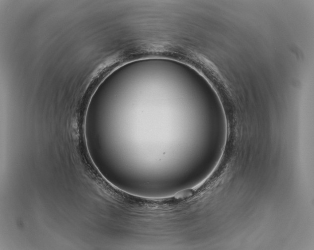 X0000112901218200908211509
