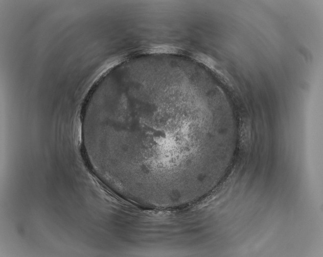 X0000112901221200908211509