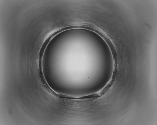 X0000112901222200908211509
