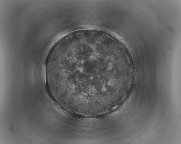 X0000112901223200908211509