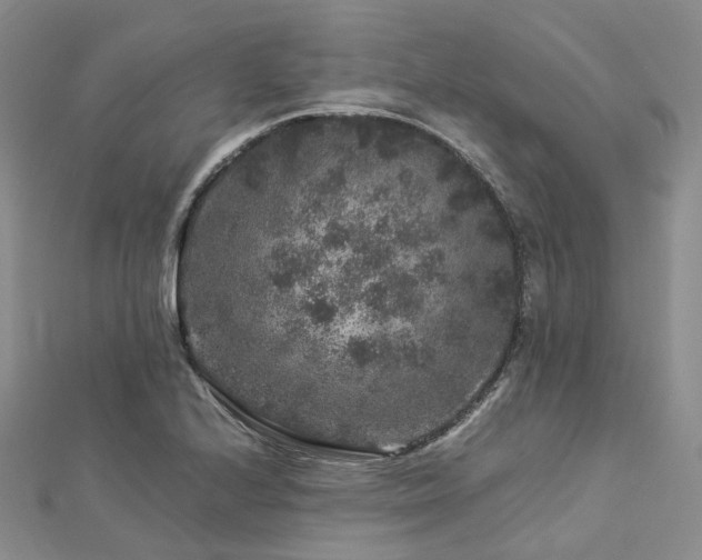 X0000112901224200908211509