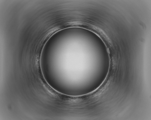X0000112901225200908211509