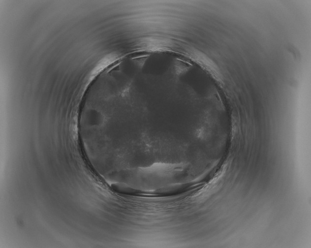 X0000112901226200908211509