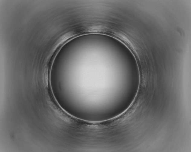 X0000112901227200908211509