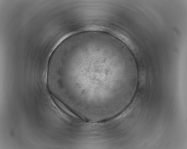 X0000112901228200908211509