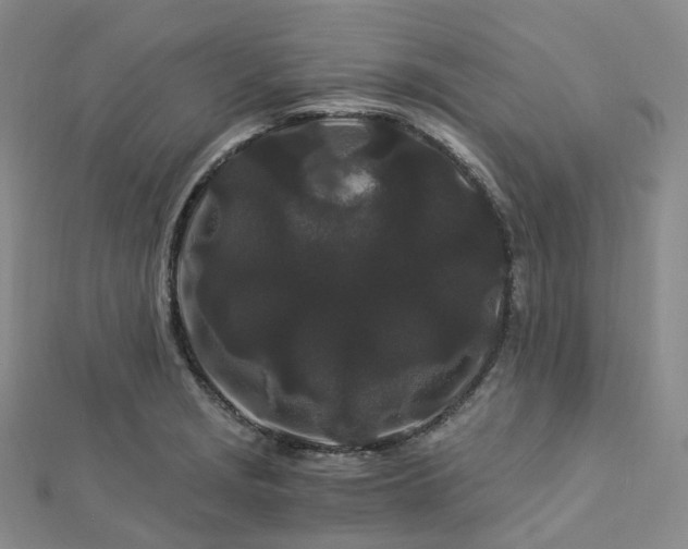 X0000112901229200908211509