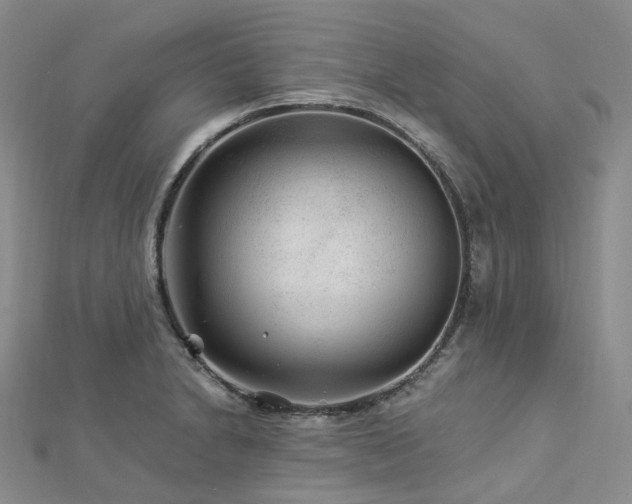 X0000112901230200908211509