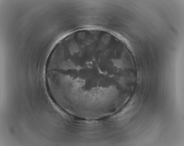 X0000112901231200908211509