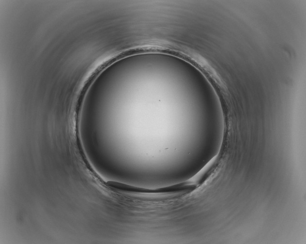 X0000112901232200908211509