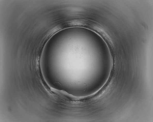 X0000112901233200908211509
