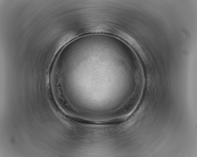 X0000112901234200908211509