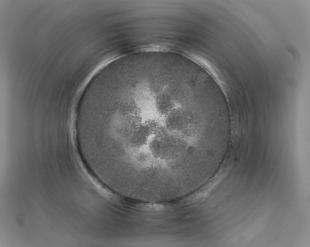 X0000112901235200908211509