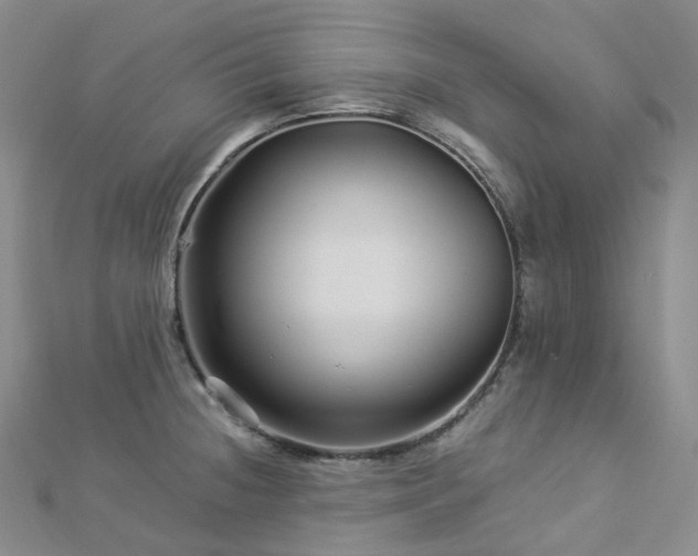 X0000112901236200908211509
