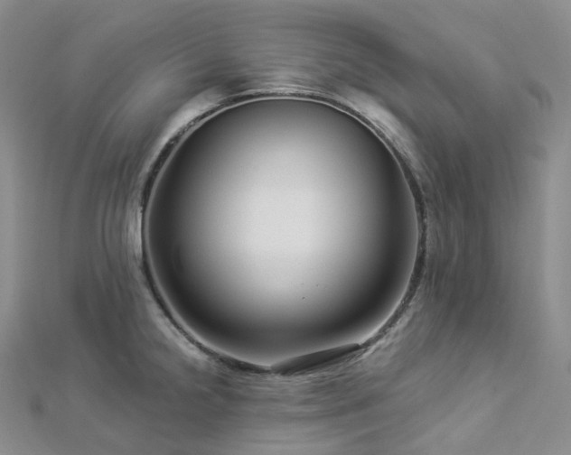 X0000112901238200908211509