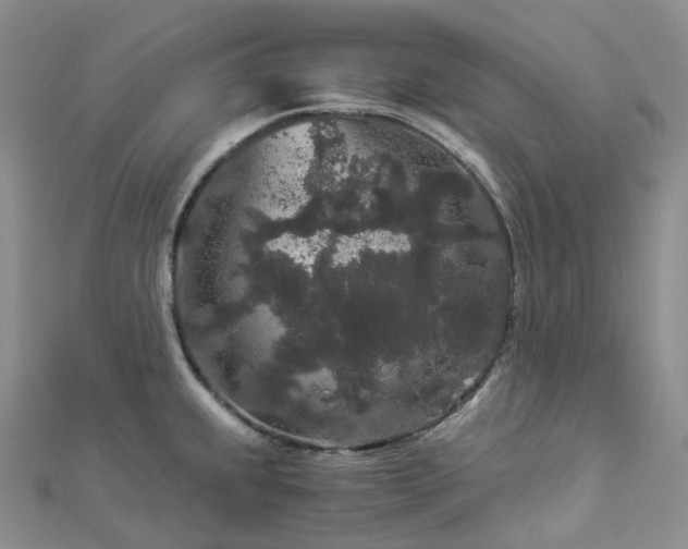 X0000112901239200908211509
