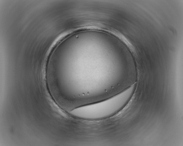 X0000112901240200908211509