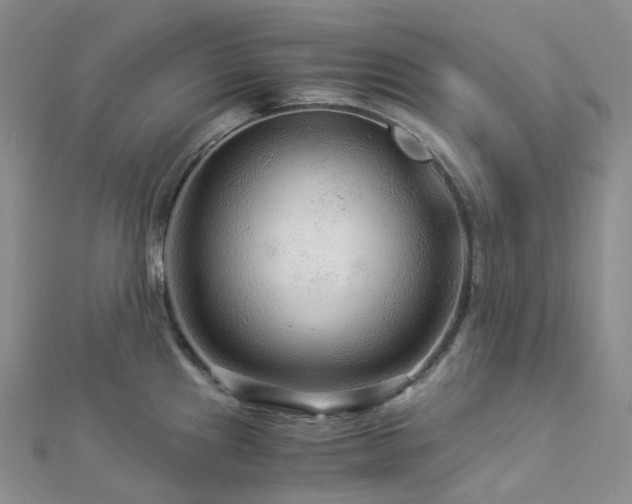 X0000112901241200908211509