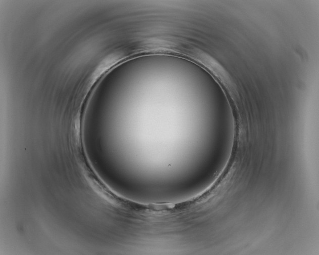 X0000112901242200908211509
