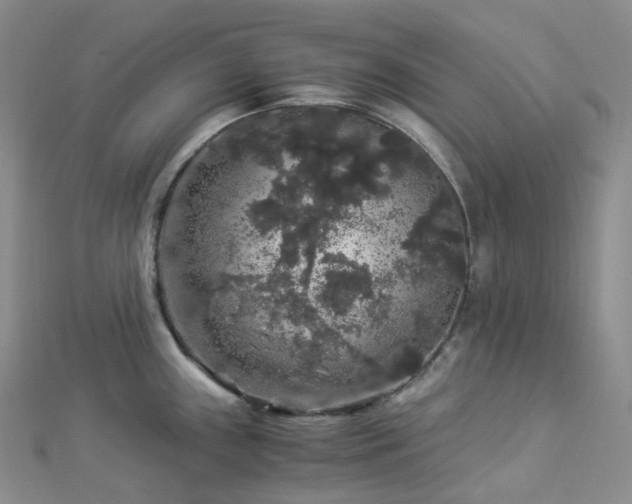 X0000112901243200908211509