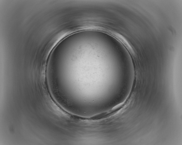 X0000112901244200908211509