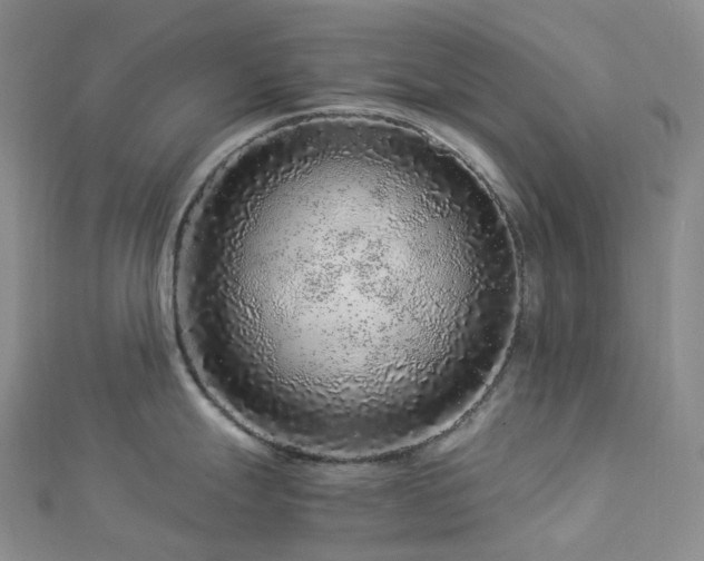 X0000112901247200908211509