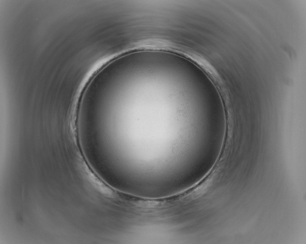 X0000112901248200908211509