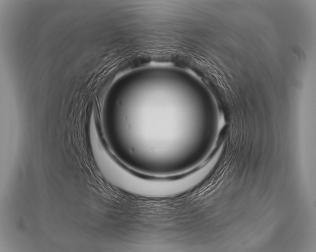 X0000112901249200908211508