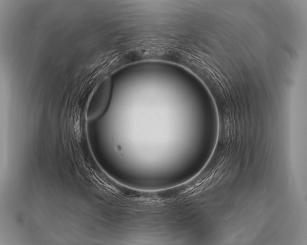 X0000112901250200908211508